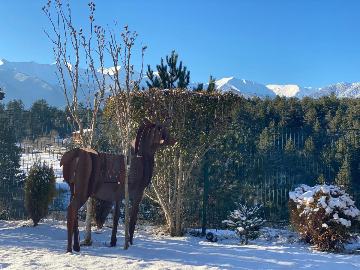 Katarino Spa Chalet Villa Razlog Kültér fotó