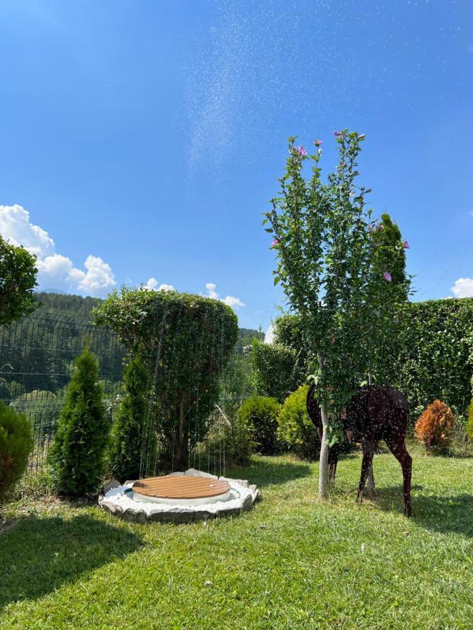 Katarino Spa Chalet Razlog Kültér fotó